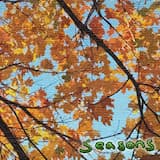 Seasons