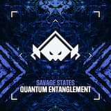 Quantum Entanglement