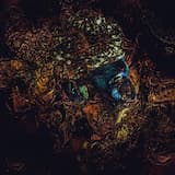 House of the Hidden Places