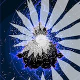 Whale Meditation 12.4.21