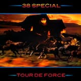 If I’d Been the One