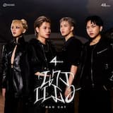 นางเเมว (BAD CAT)