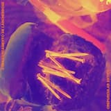 Vontade de Arrancar Meu Útero E Dar Para Os Cachorros da Rua Comerem