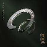 The Universe Is Sound