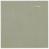 Silver Spider Morning