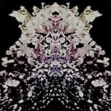 𝙁𝙡𝙤𝙖𝙩𝙚𝙧