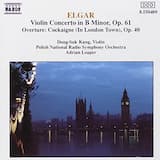 Violin Concerto in B minor, op. 61: I. Allegro