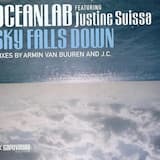 Sky Falls Down (radio edit)