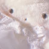 あたたか♡ゆ〜とぴあ