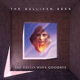 Say Hello Wave Goodbye