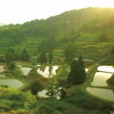 IF YOU DO, I DO (威風堂々)