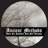 Guided by the Force of Compassion