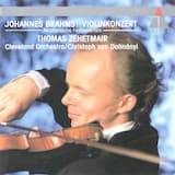 Violinkonzert D-dur, op. 77: Allegro non troppo