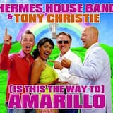 (Is This the Way to) Amarillo (Summer Party mix)