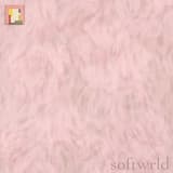 Girl On The Internet