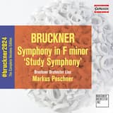 Symphony in F minor WAB 99: I. Allegro molto vivace