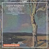 Violin Concerto in D major, op. 68: Allegro moderato e molto maestoso