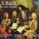 Sonata for Flute & Keyboard in B minor, BWV 1030: I. Andante