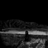 Dead Fields/Rehearsal ’88