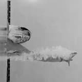 Action Sports Powerful