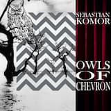 Owls of Chevron