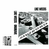 Rather Be a Picket Than a Scab