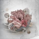 Radiance (Hior Chronik Rework)