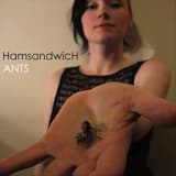 Ants