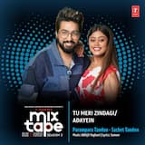 Tu Meri Zindagi‐Adayein