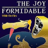 While the Flies (English Language acoustic)