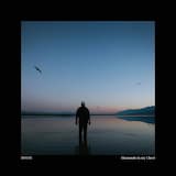 Diamonds in My Chest