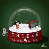나홀로 집에 (Home Alone)