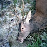 This Farm Will End Up in Fire