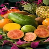 Tropic Fruits