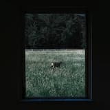 Our Fears Won’t Save Us