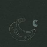 Last Summer at Plastic Mansion