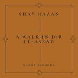 A Walk in Dir El‐Assad