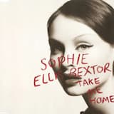 Take Me Home (A Girl Like Me)