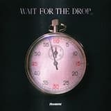 Wait for the Drop (VIP edit)