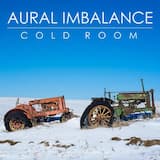 Cold Room (Emi Murai's ambient trip)