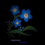 Auguries Of Innocence Lines 1-4