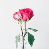 Jerusalem Faith Therui Wedding x Lapard