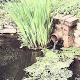 Утреннее безмолвие