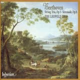 Serenade in D major, op. 8: IV. Adagio - Scherzo: Allegro molto - Adagio - Allegro molto - Adagio