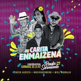 Tu carita enmaizená