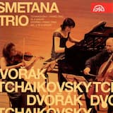 Piano Trio no. 2 in G minor, op. 26, B 56: IV. Finale. Allegro non tanto