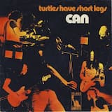 Turtles Have Short Legs