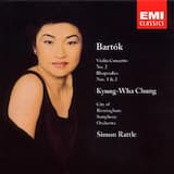 Violin Concerto no. 2 in B minor: I. Allegro non troppo