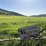 Extremely Mild Zucchini Squash