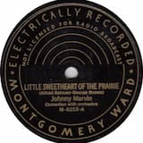 Little Sweetheart of the Prairie